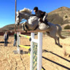 Meet your Posher, Irini